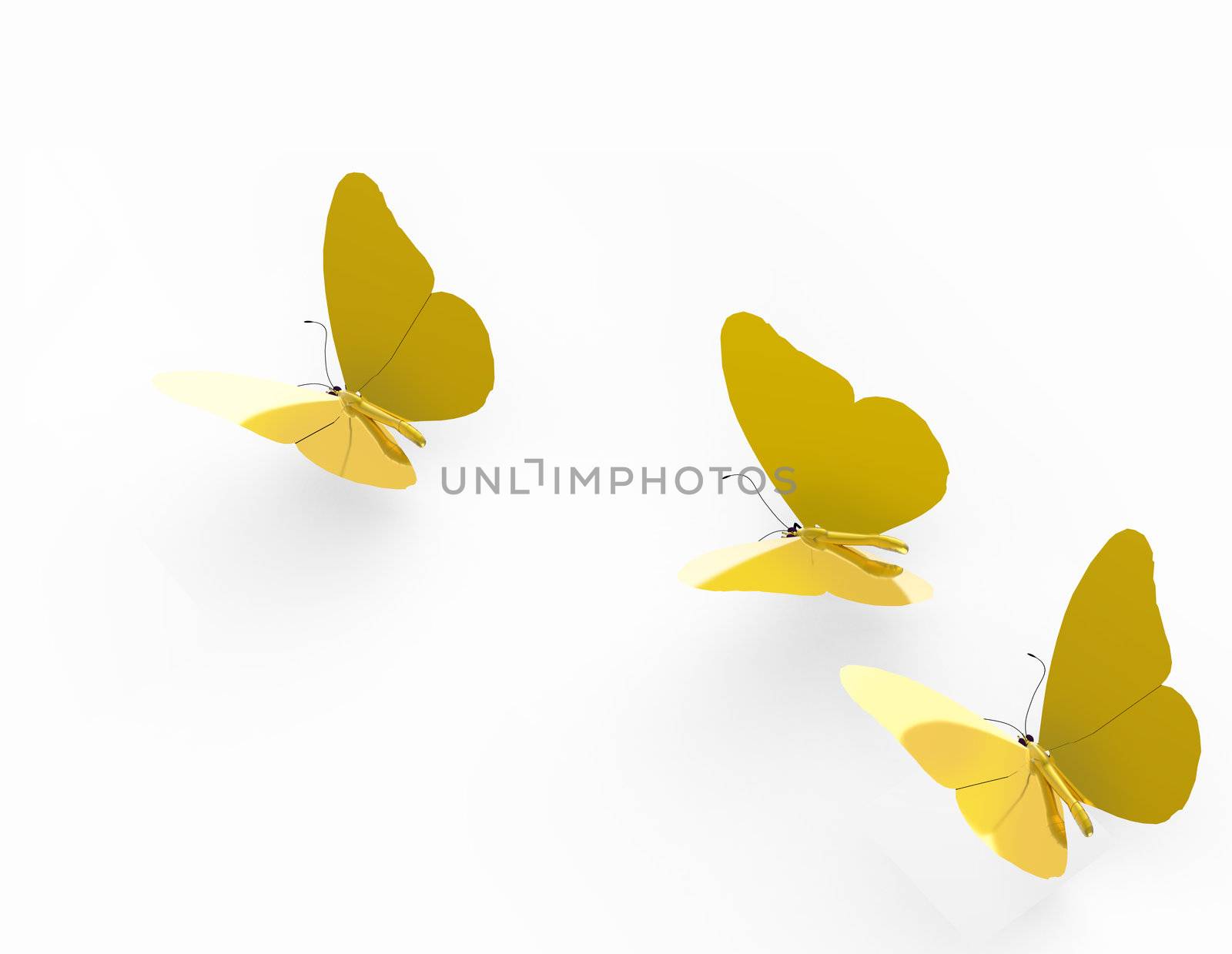 three gold butterflies on white background