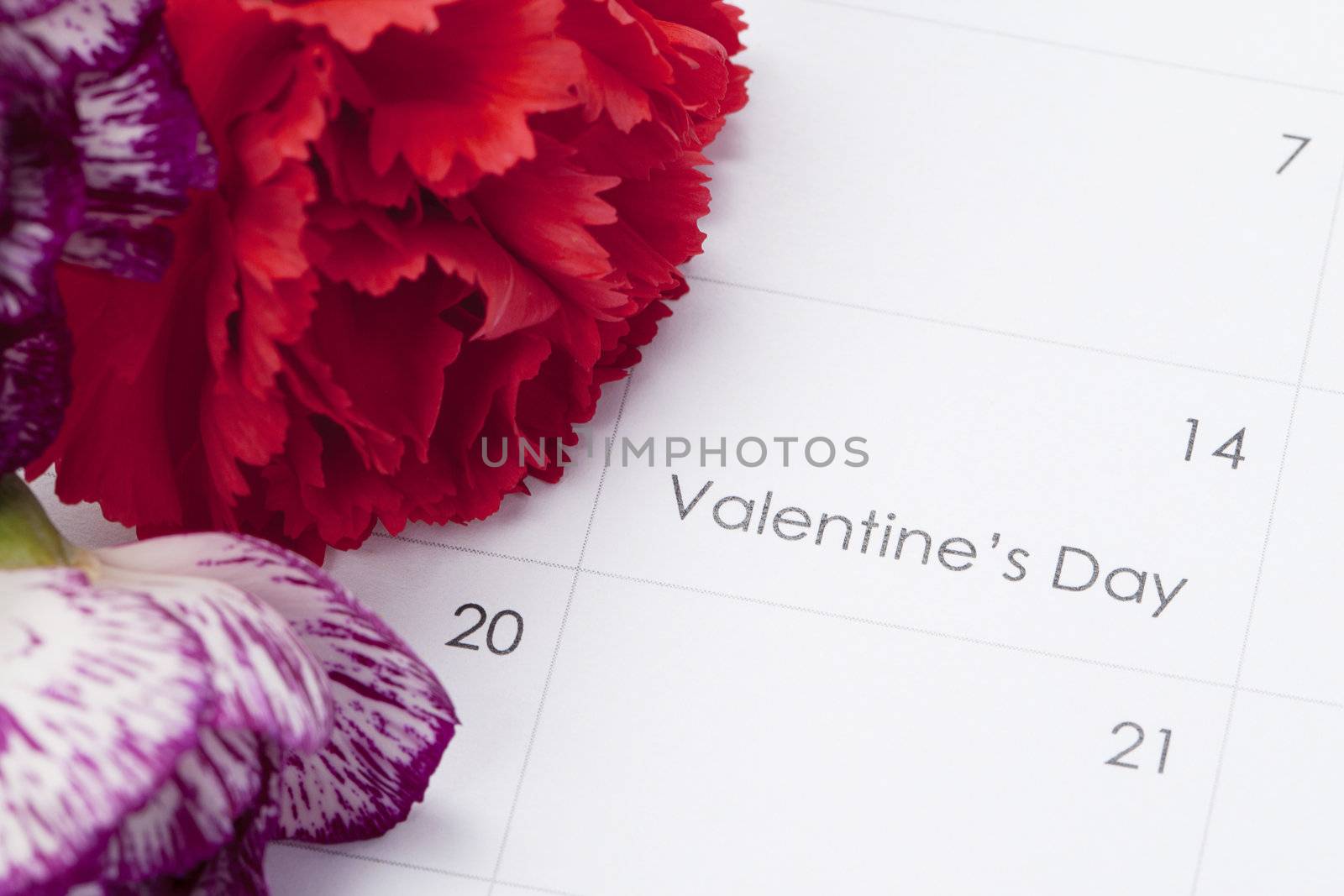 cropped image of flowers on calender by kozzi