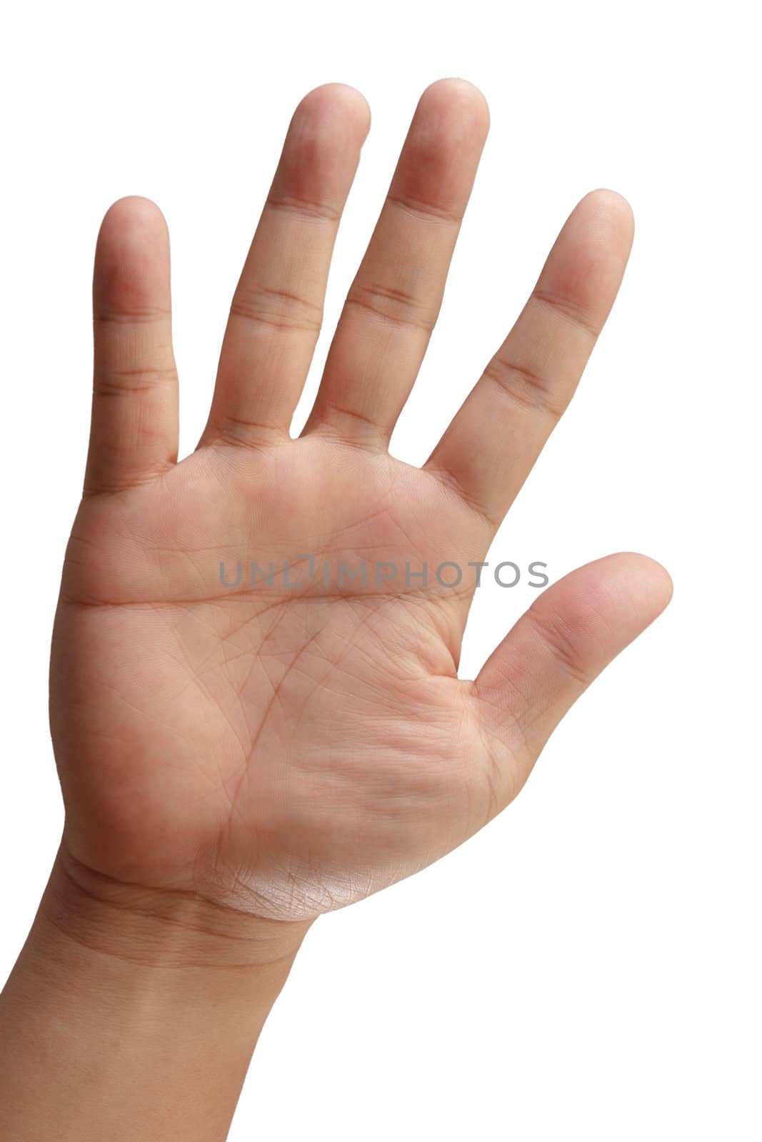 hand symbol on white background