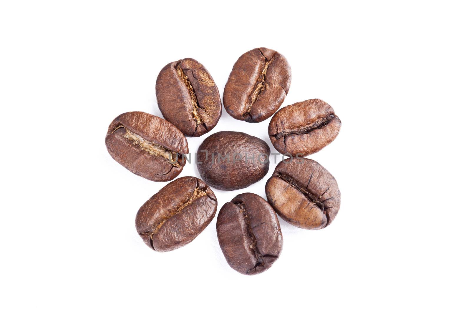 Illustration of few coffee beans on a white background