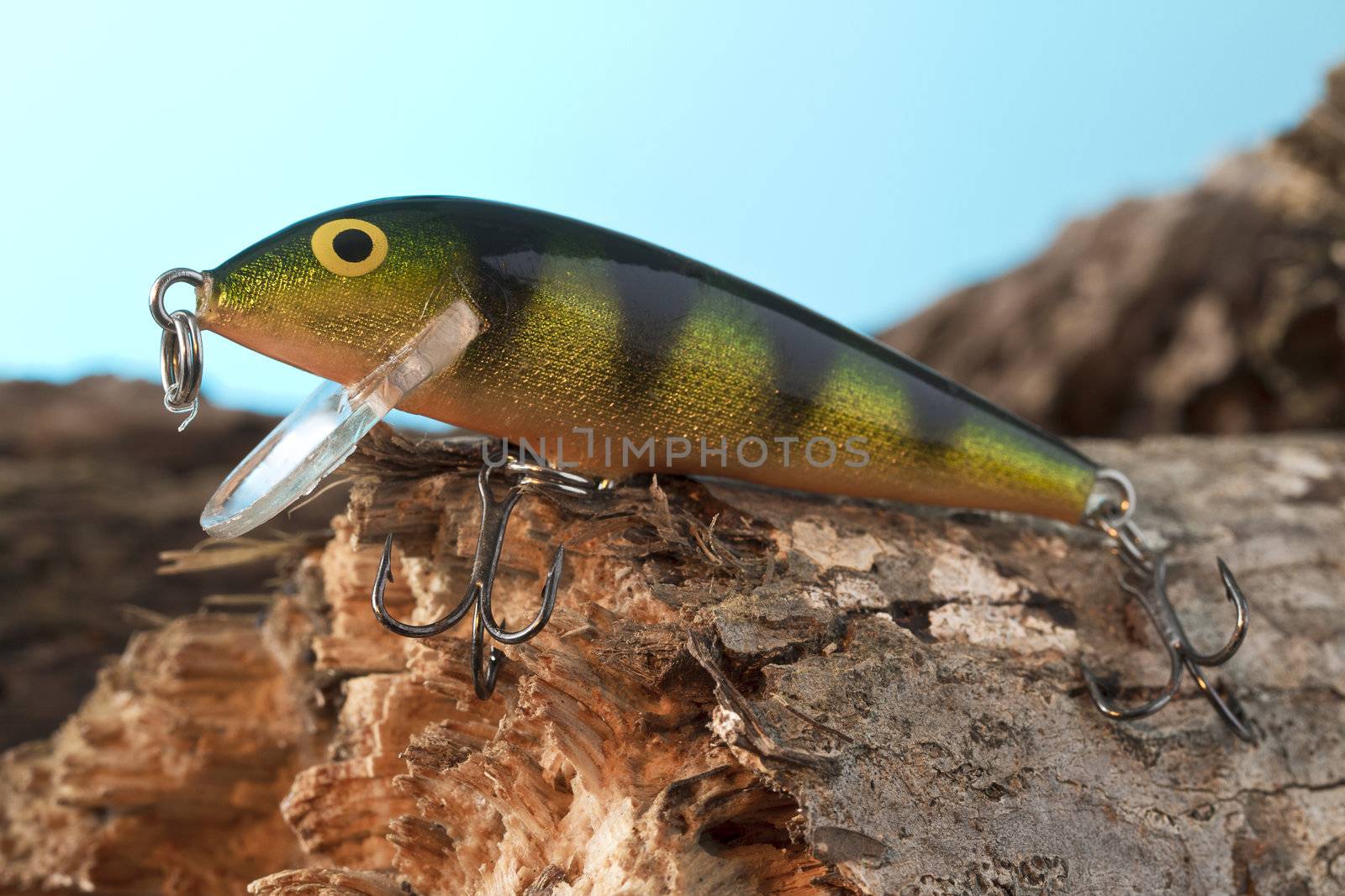 Close-up shot of fishing lure