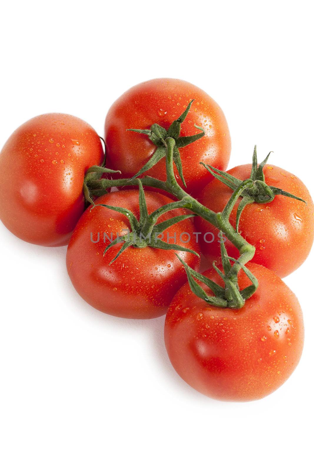 five tomatoes by kozzi