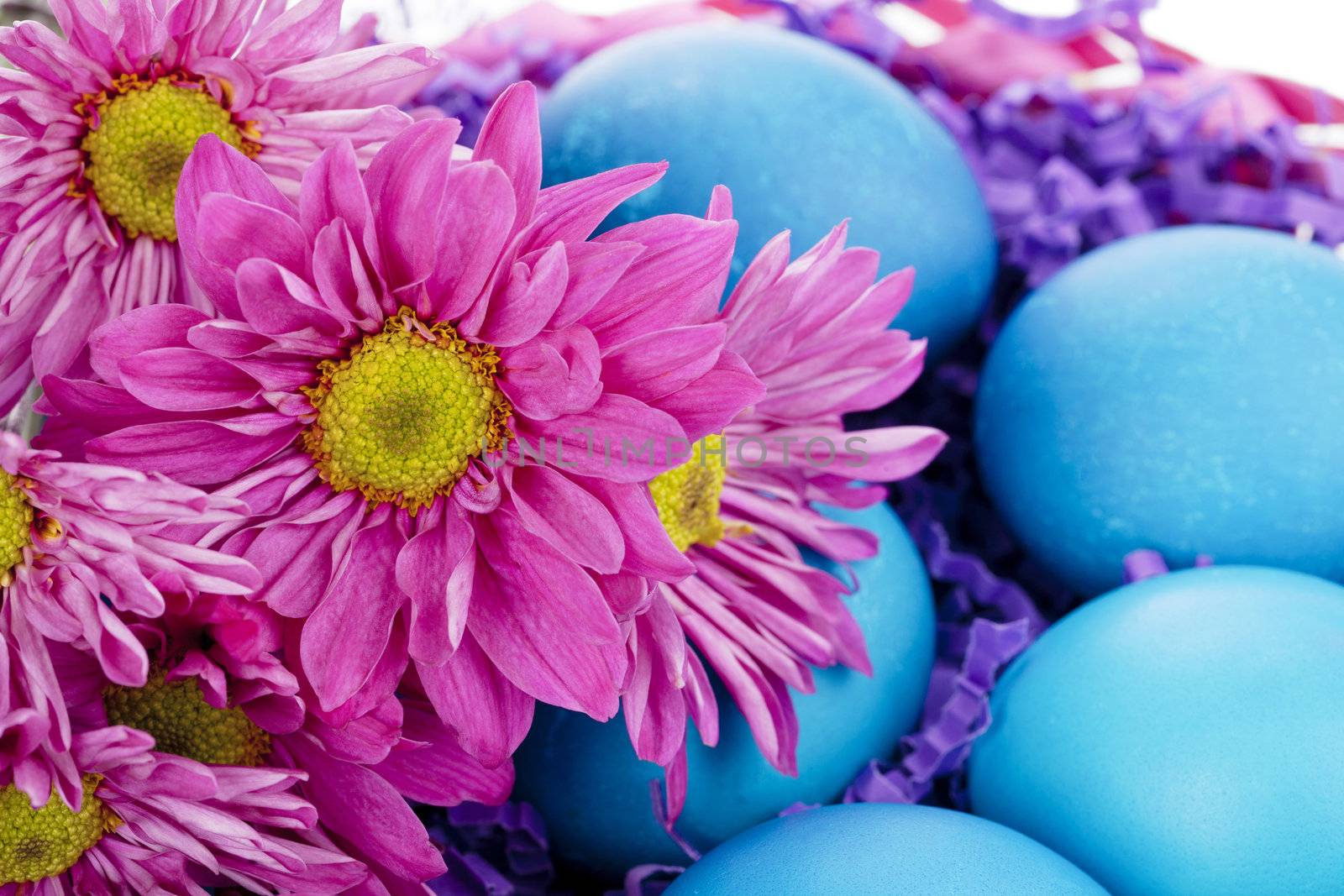 Close-up cropped image of flowers and blue easter eggs in easter basket.