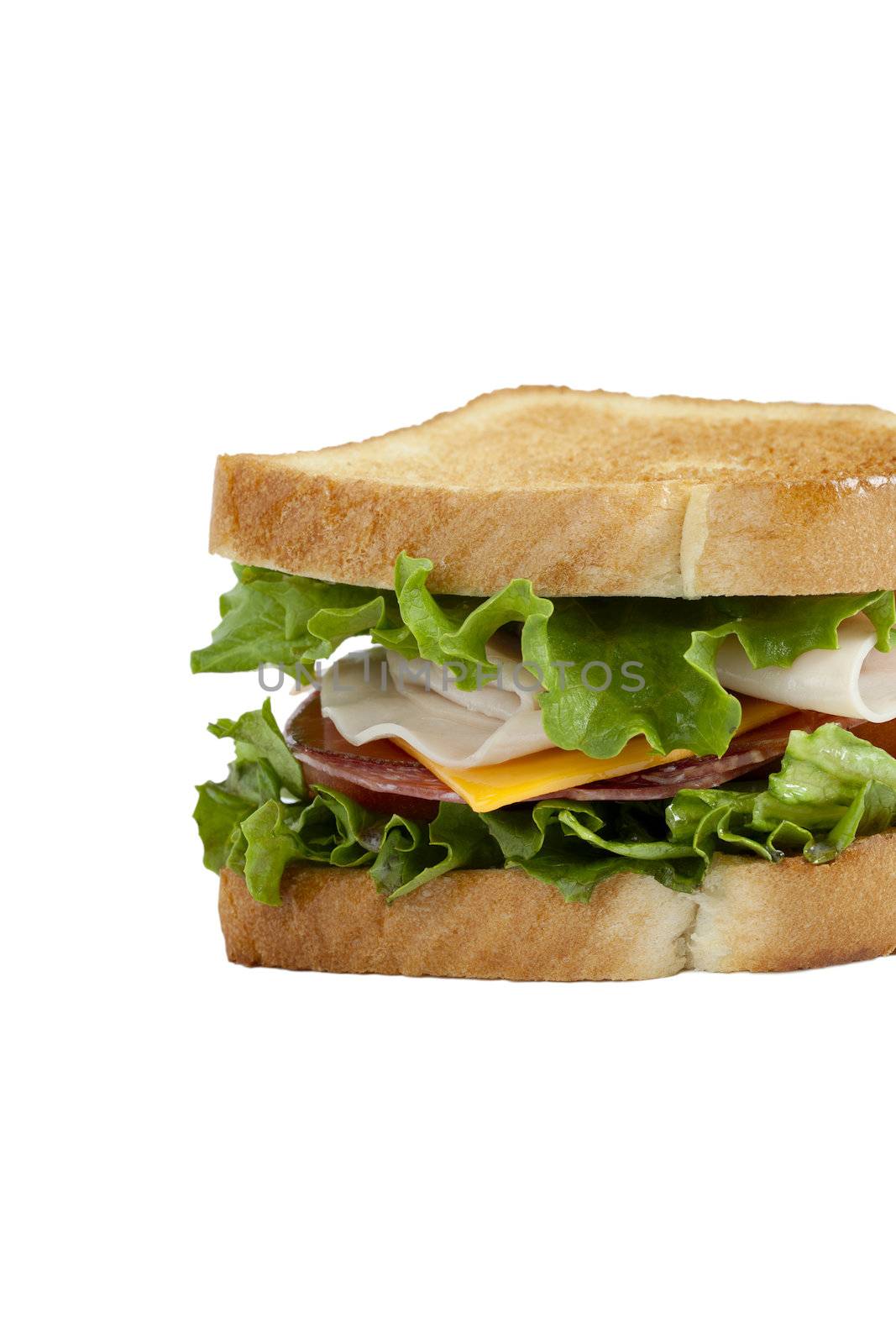 Close up cropped image of a sandwich against white background