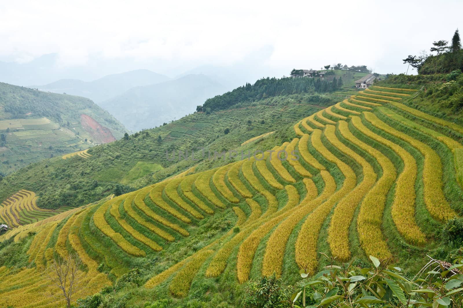 Rice terraces and cottage in the mountains by jame_j@homail.com