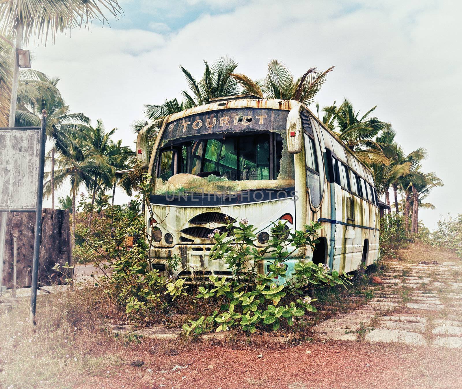 Old bus, abandoned and rusty photo