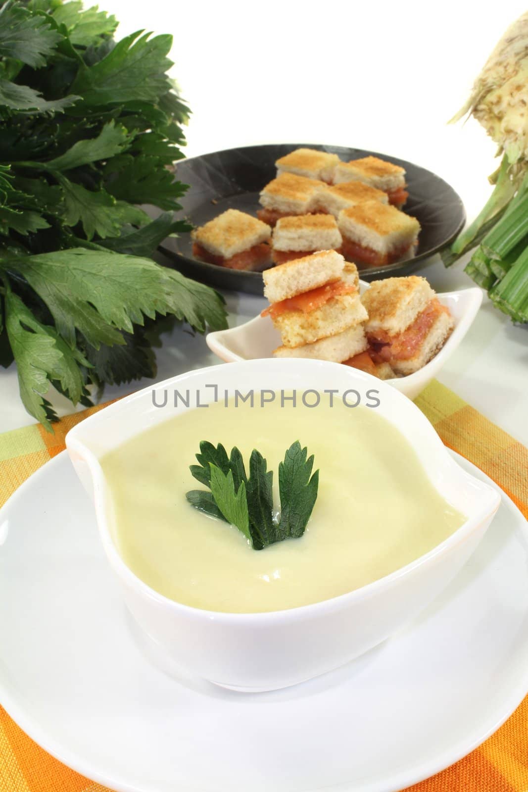 Cream of celery soup by silencefoto