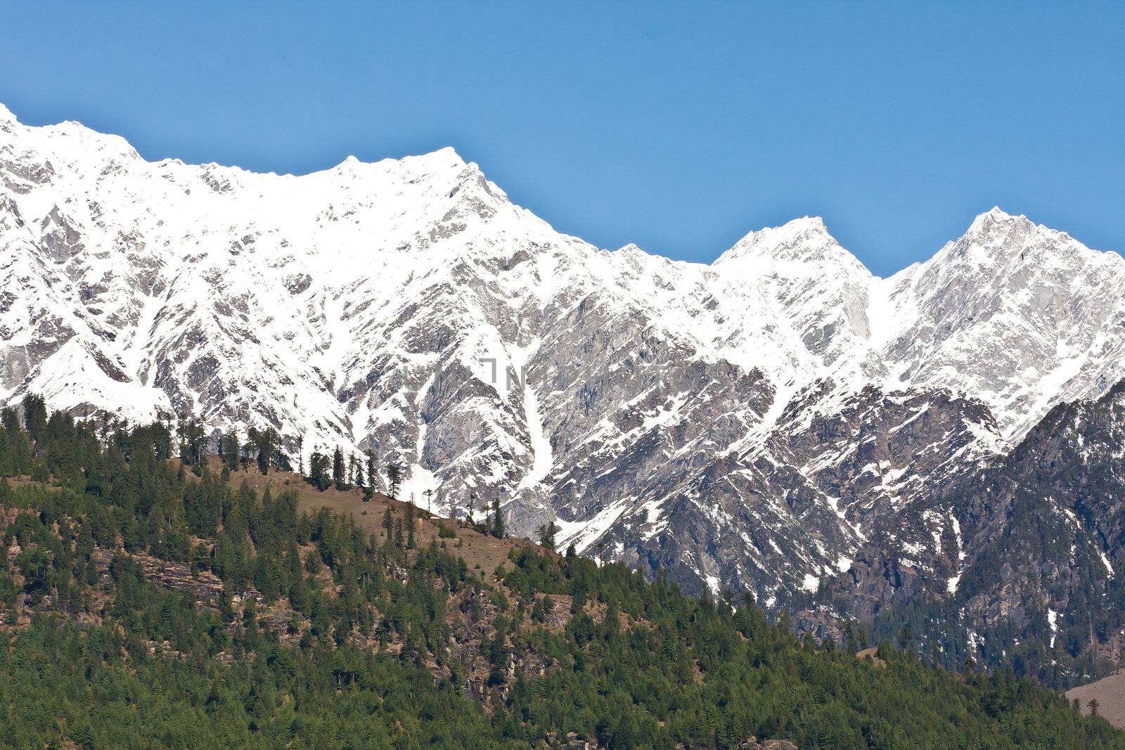 Beautiful peaks of Himalayas in Manali Valley, India by jame_j@homail.com