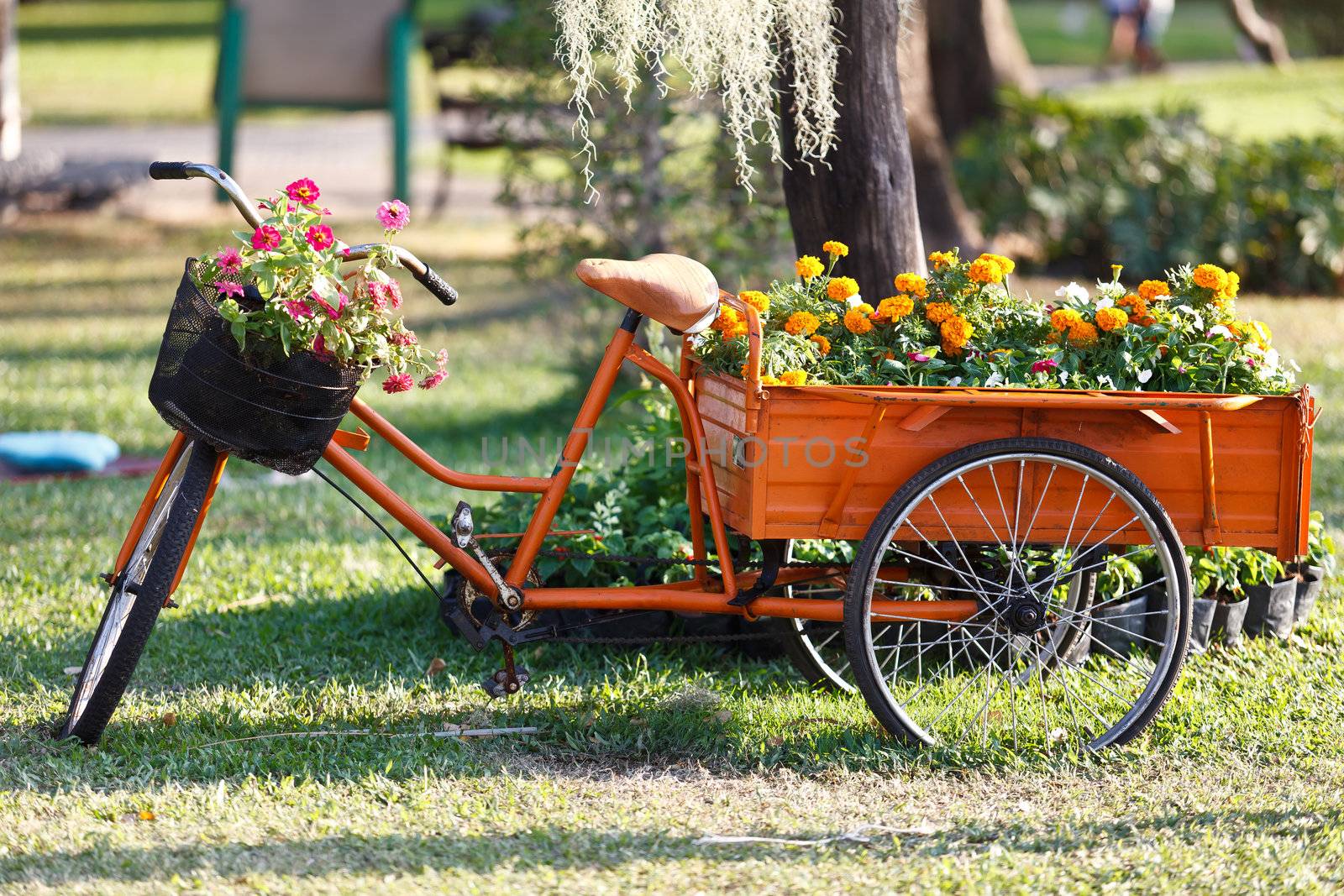 Beautiful floral bouquet on the bicycle