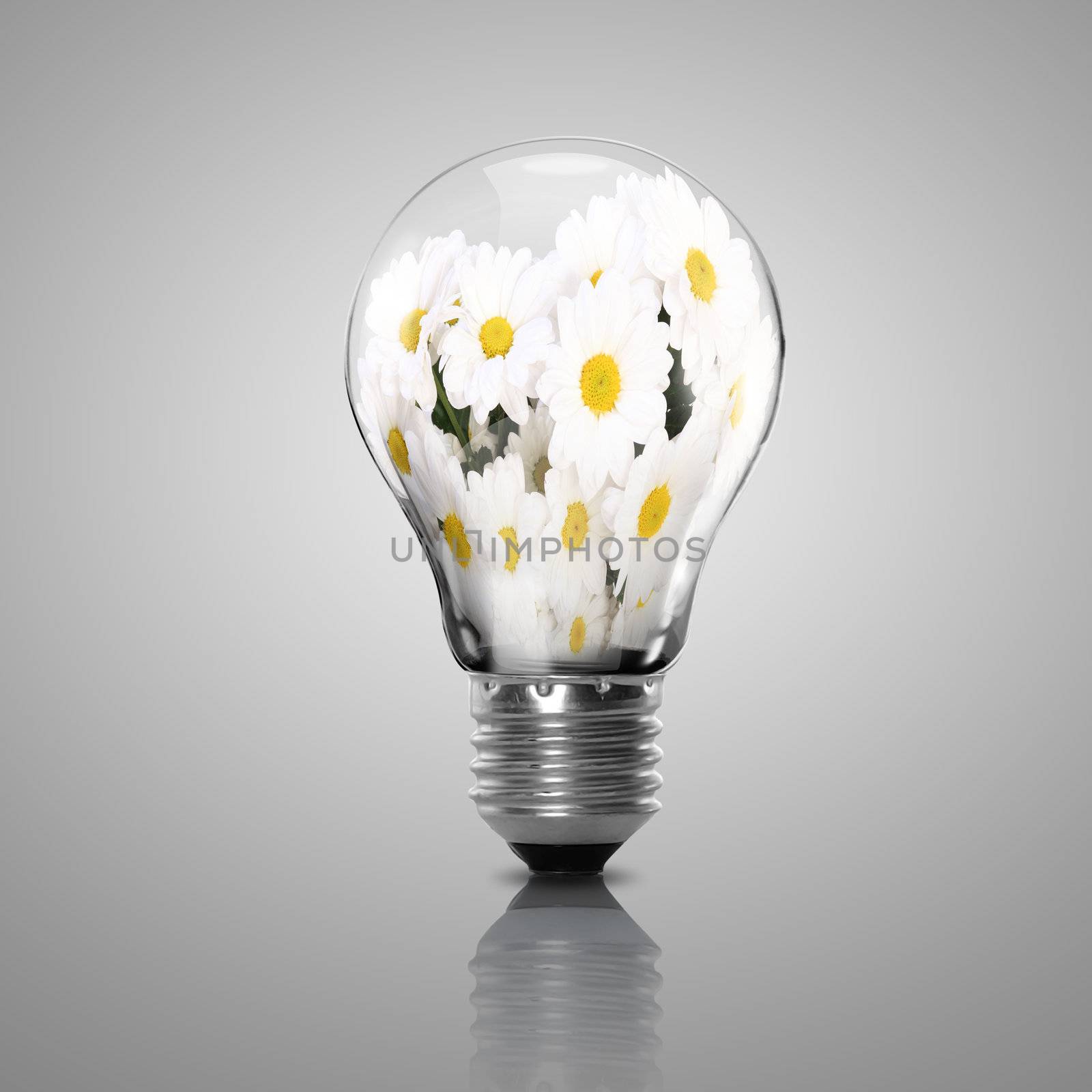 Electric light bulb and flower inside it by sergey_nivens