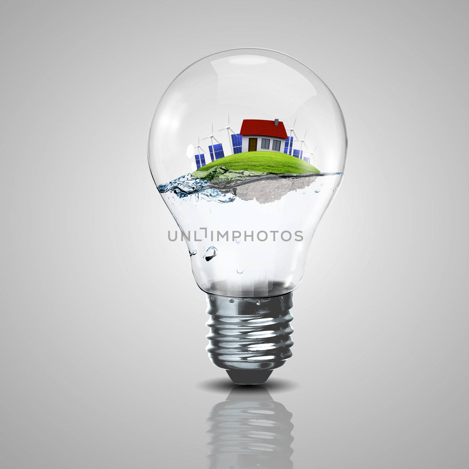 Electric light bulb and a plant inside it by sergey_nivens