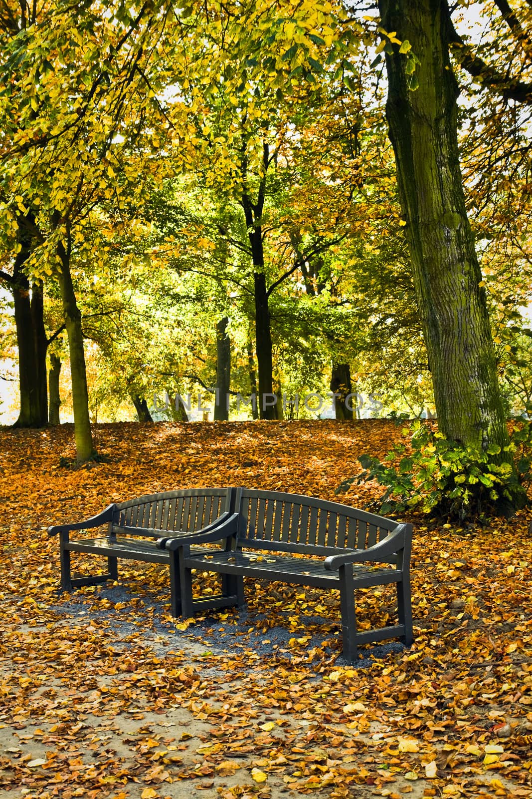 Park in autumn with benches made of recycled plastics - veritcal