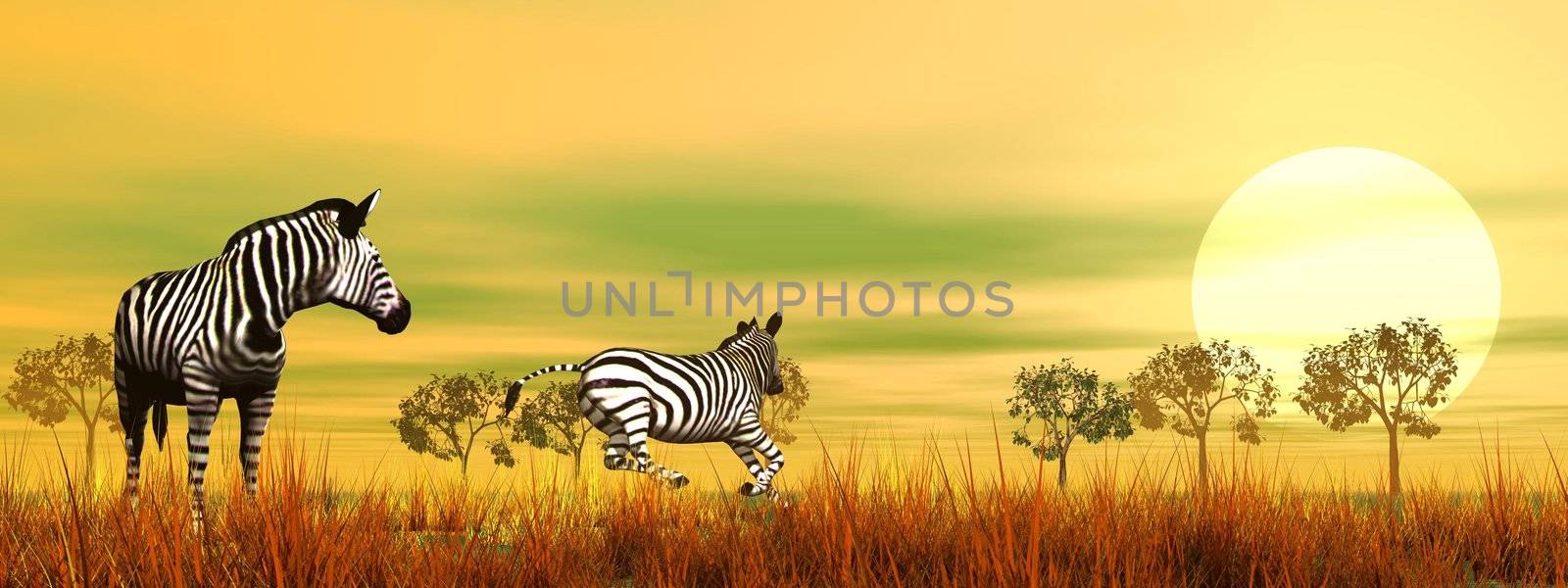 Zebras in the savannah by Elenaphotos21