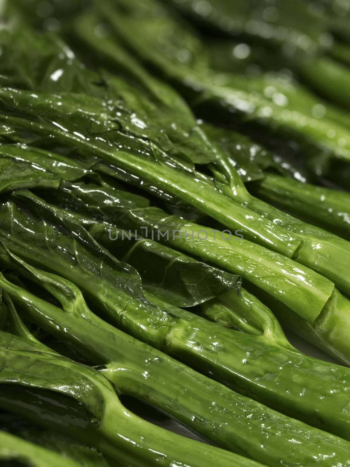 close up of stir fried  kai-lan chinese broccoli