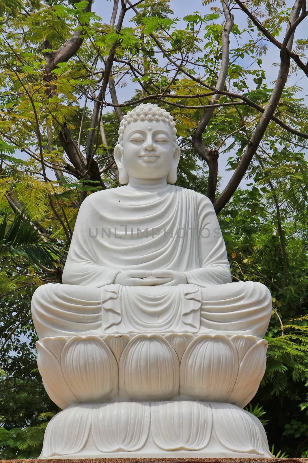 White Buddha by Photoguide