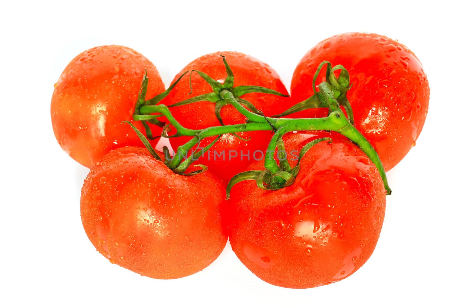 tomato by Photoguide
