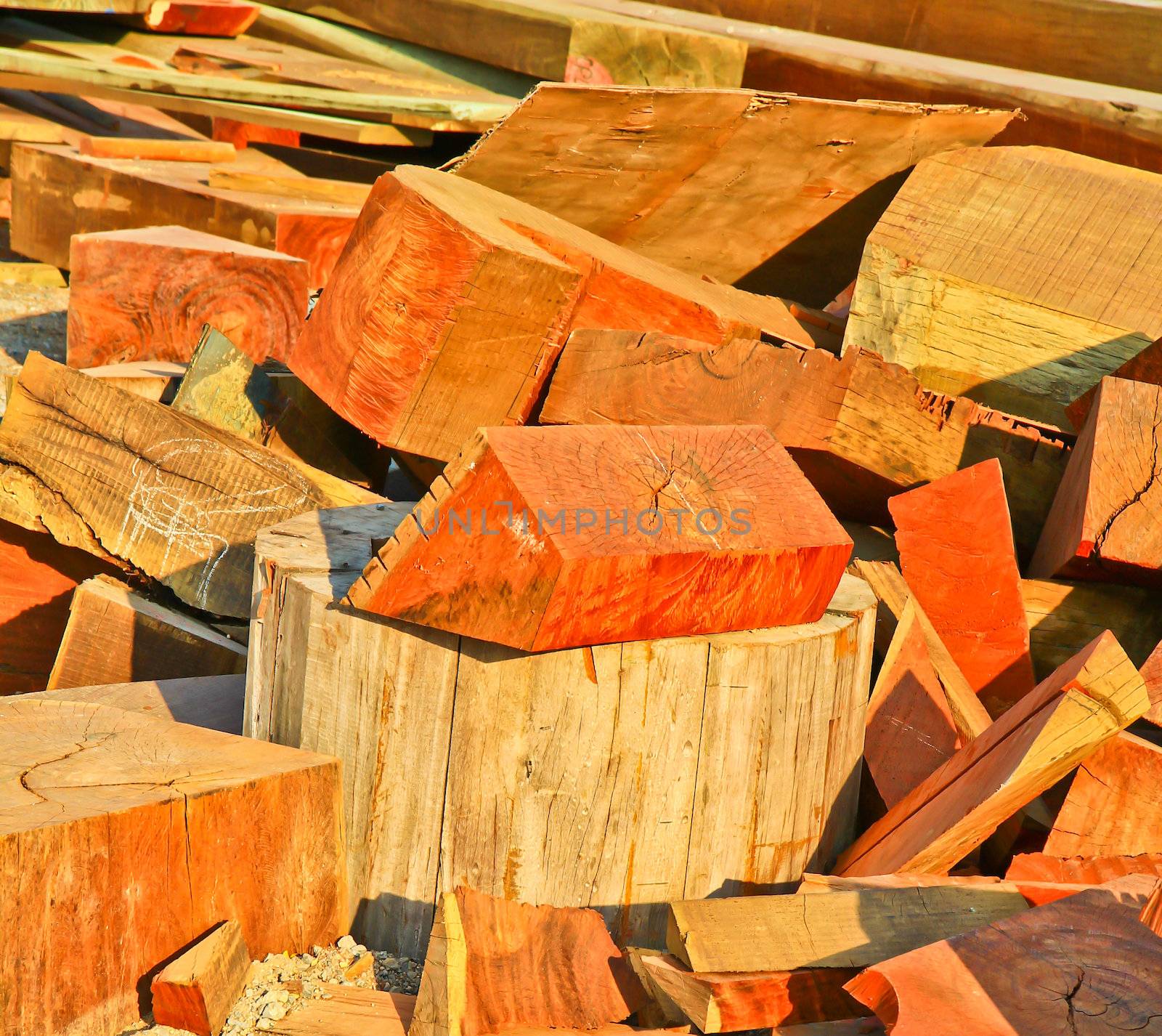 Pile of wood by Photoguide