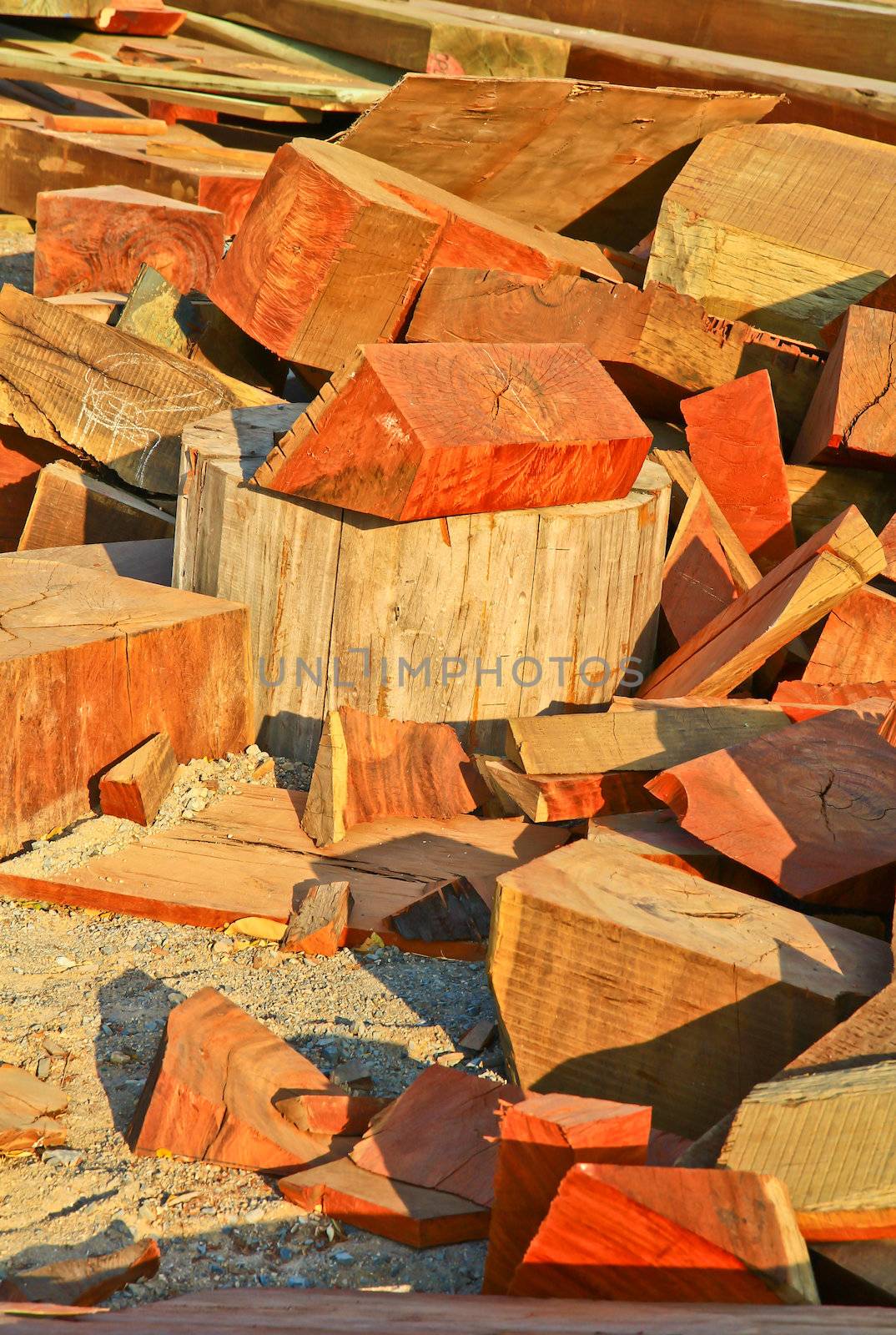 Pile of wood by Photoguide