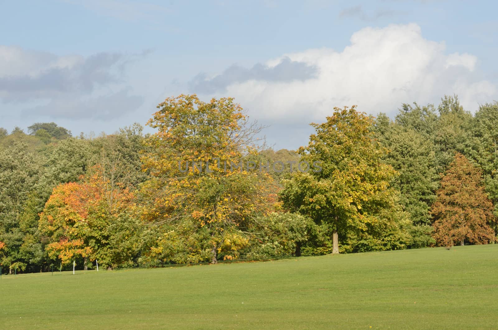 English Country Estate in Autumn