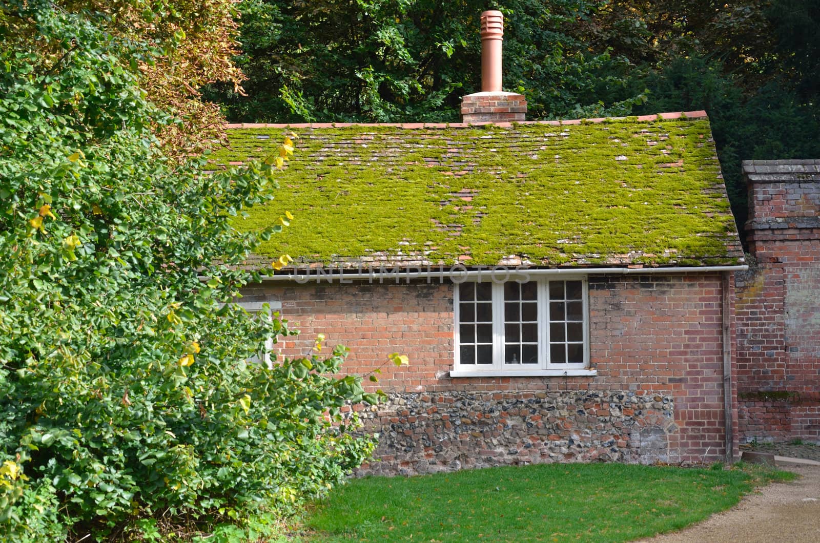 english brick cottage by pauws99