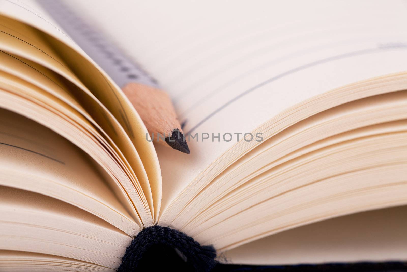 Close up view of lead pencil in organizer