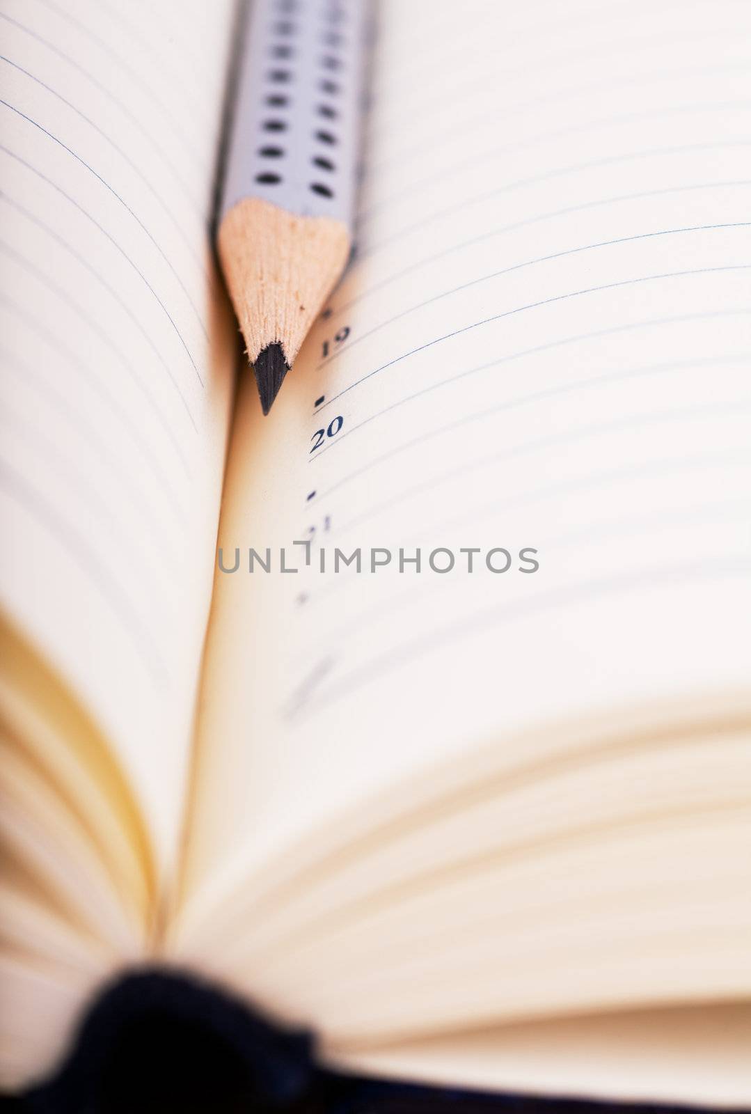 Close up view of lead pencil in organizer