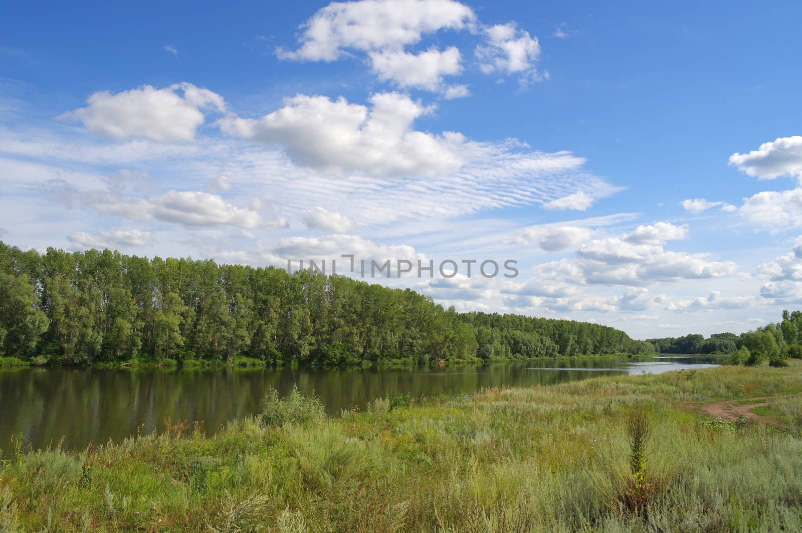 Beautiful summer landscape with river