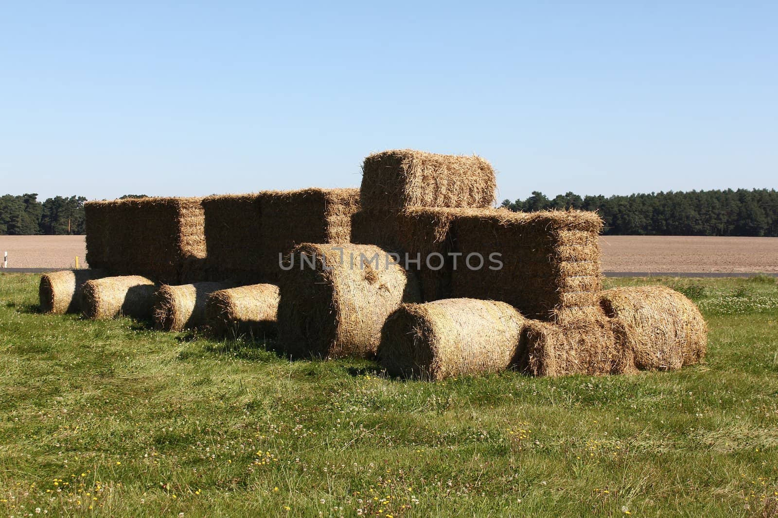 Tractor made of hay bales by discovery