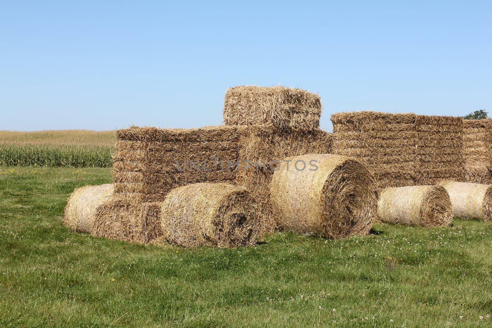 Tractor made of hay bales in a field