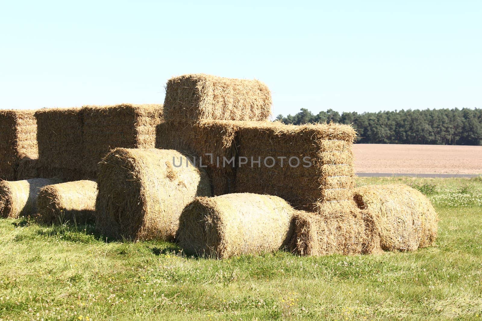 Tractor made of hay bales on a lawn by discovery