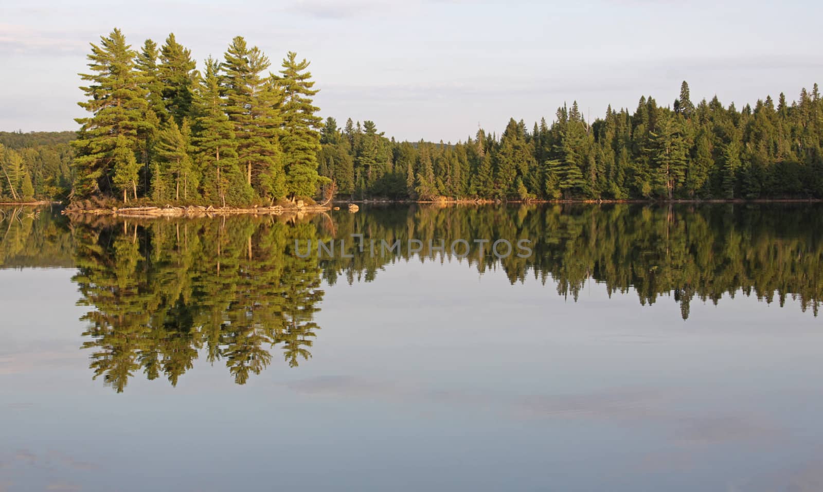 The reflection of the treeline and an island in Burnt Island Lake in Algonquin Provincial Park, Ontario, Canada. 
