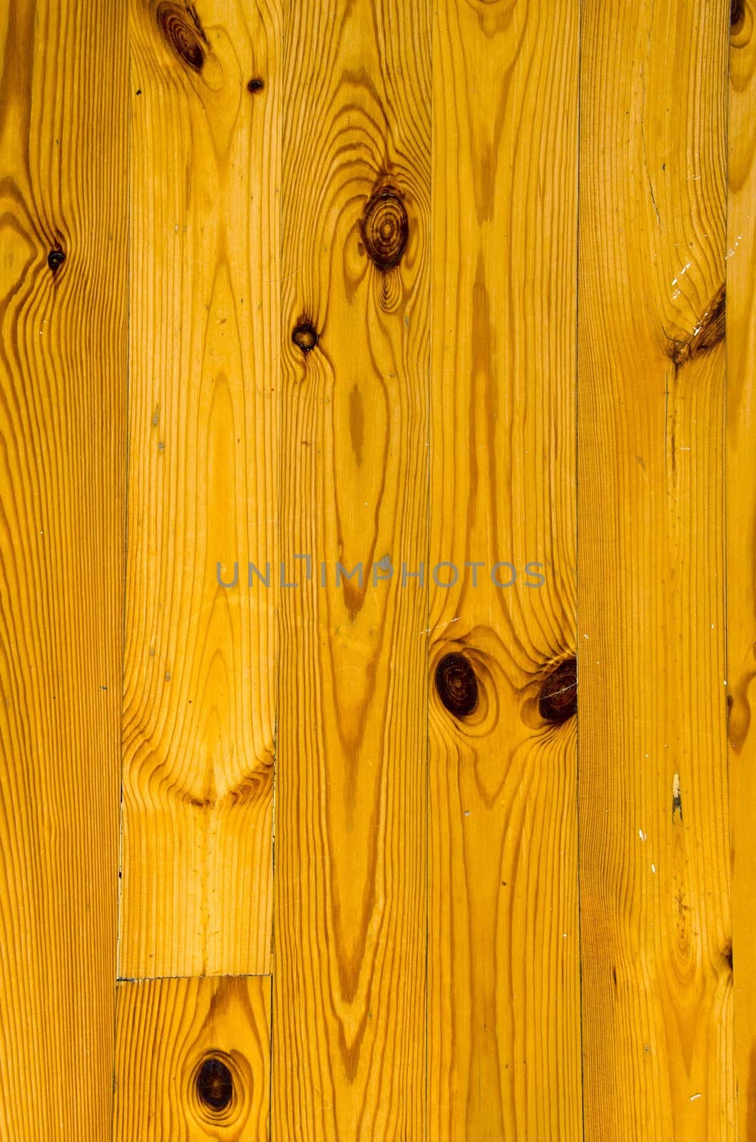 Pine rural floor closeup background in house by sauletas