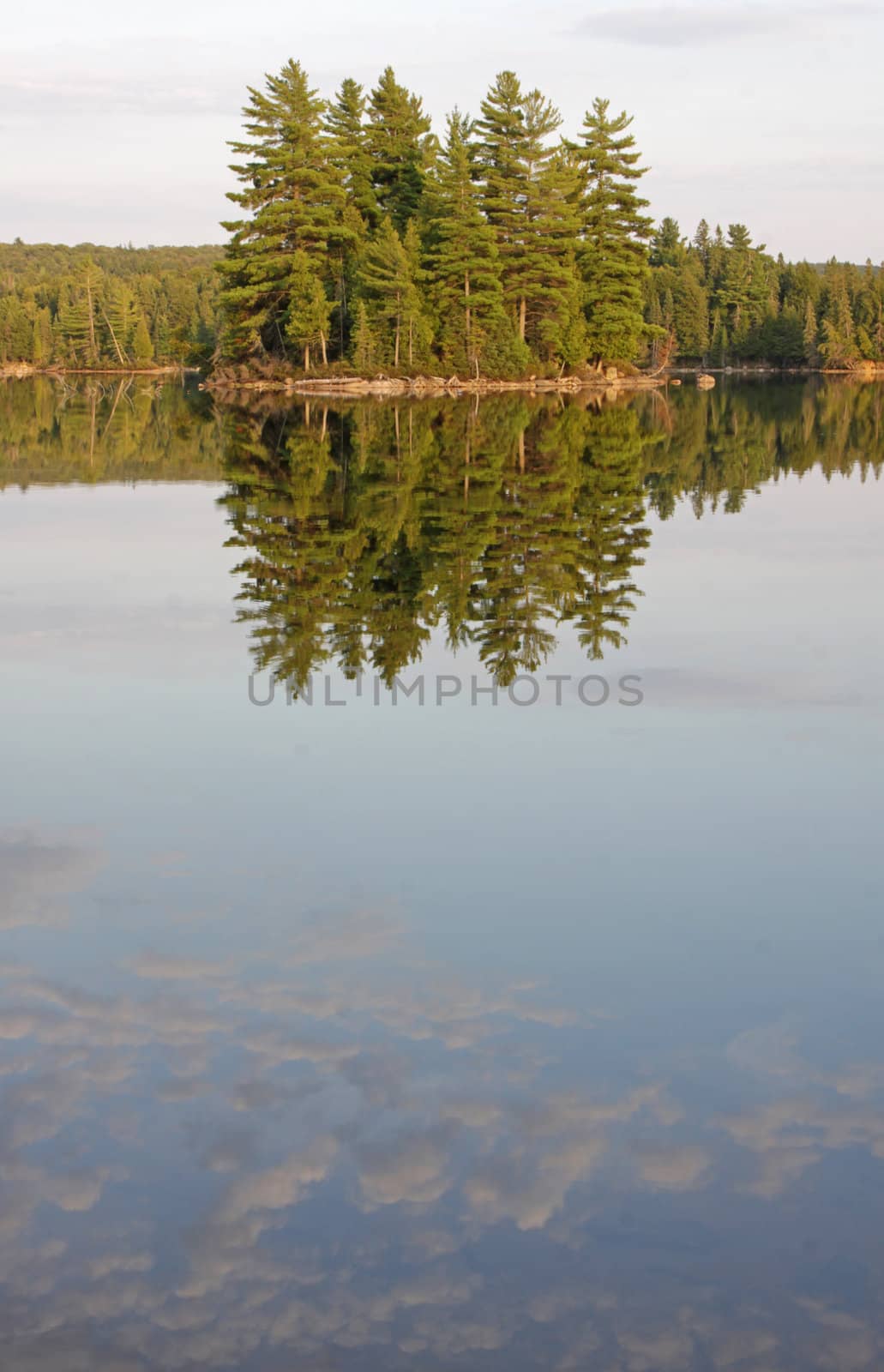 Algonquin Lake Reflection by ca2hill