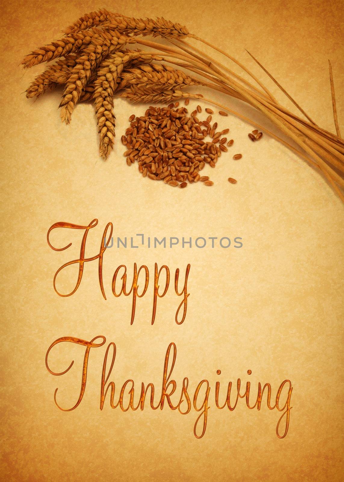 Thanksgiving Greetings, illustration with wheat.