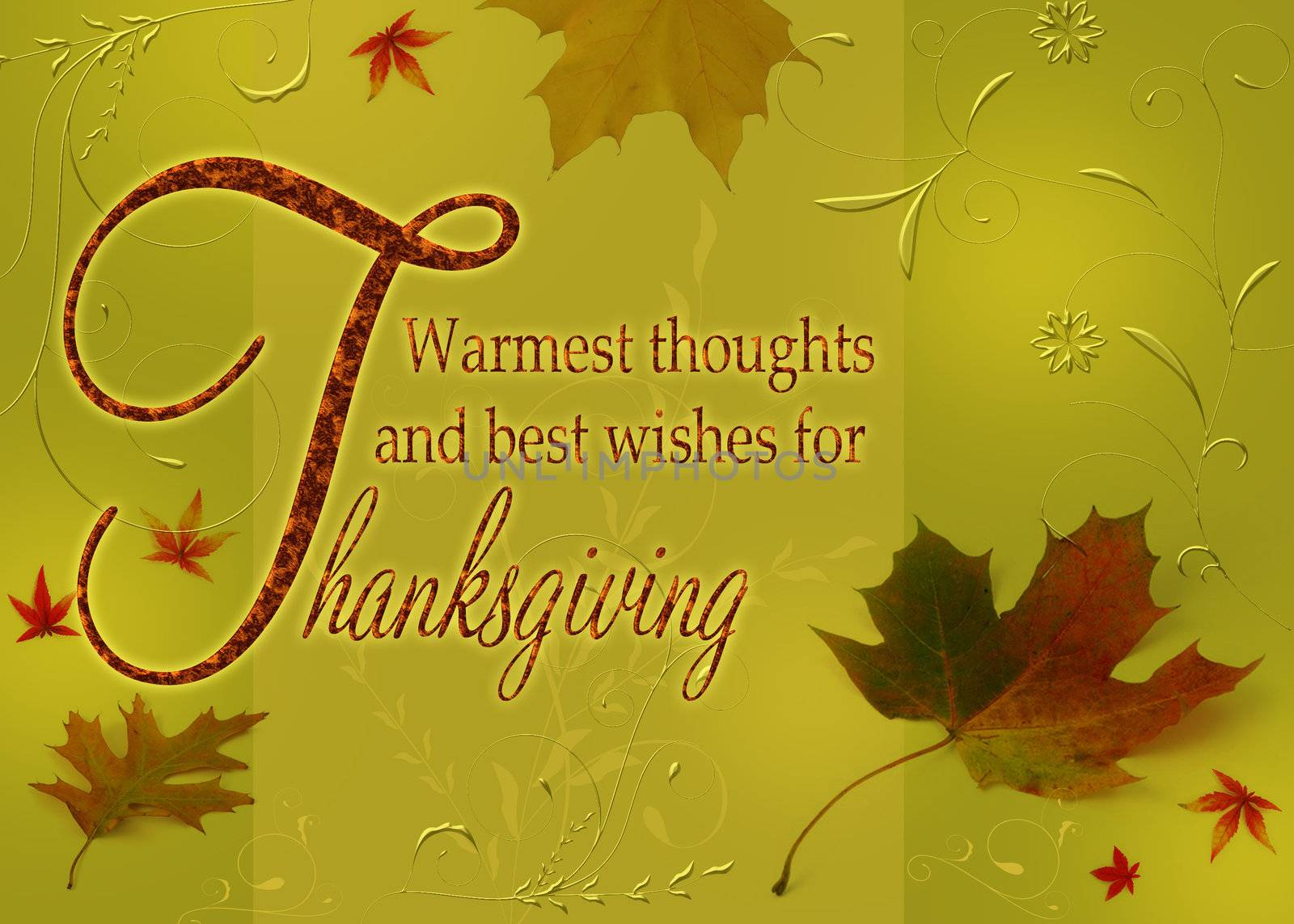 Thanksgiving Greetings, Thanksgiving wishes on an autumn illustration with leaves and floral ornaments on a green background.