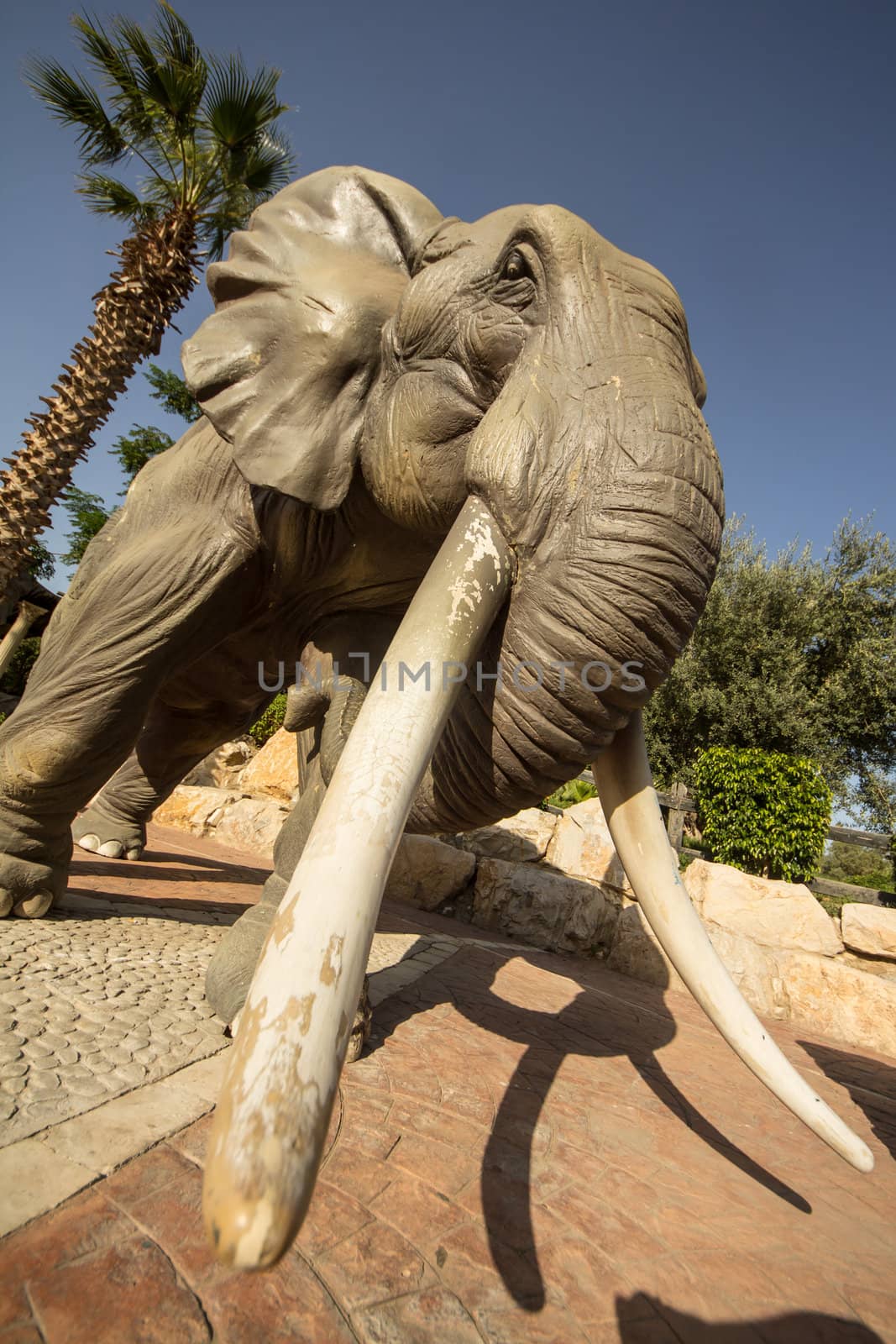 Statue of an African Elephant by derejeb