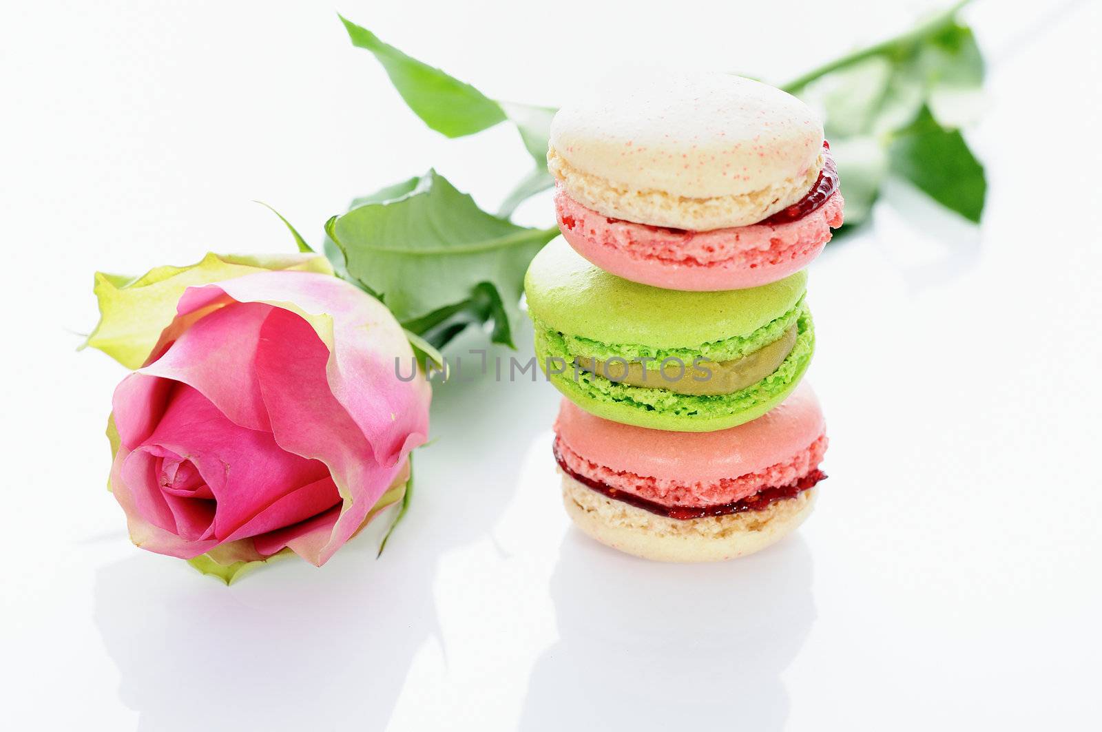 beautiful rose and assortment of macarons