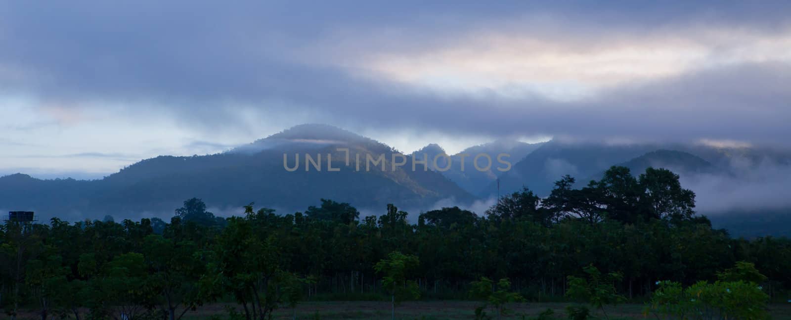 morning mist cover mountain by witthaya