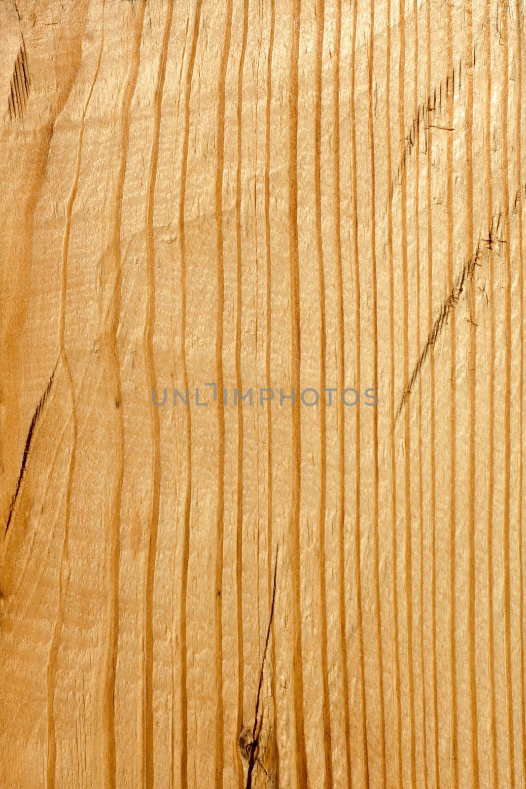 Fragment of wooden boards in the sunlight