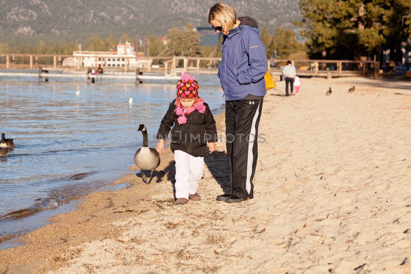 Lake Tahoe is a large freshwater lake in the Sierra Nevada mountains of the United States.