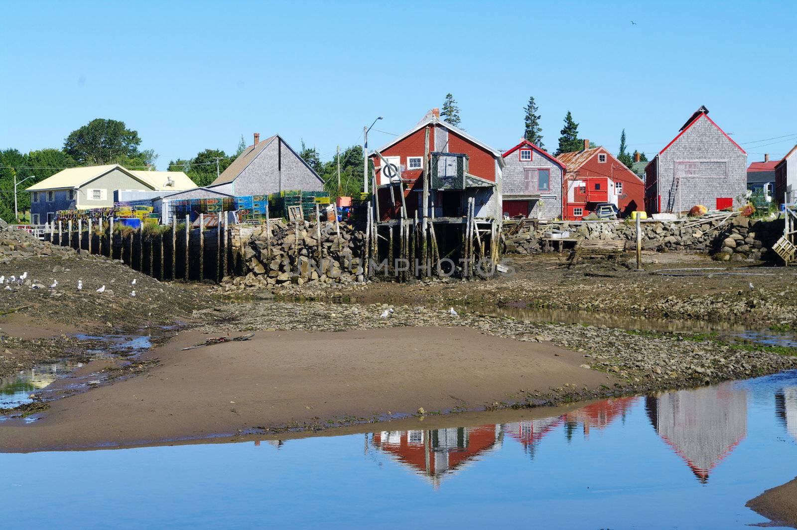 Fish Sheds at Seal Cove on the Bay of Fundy at low tide