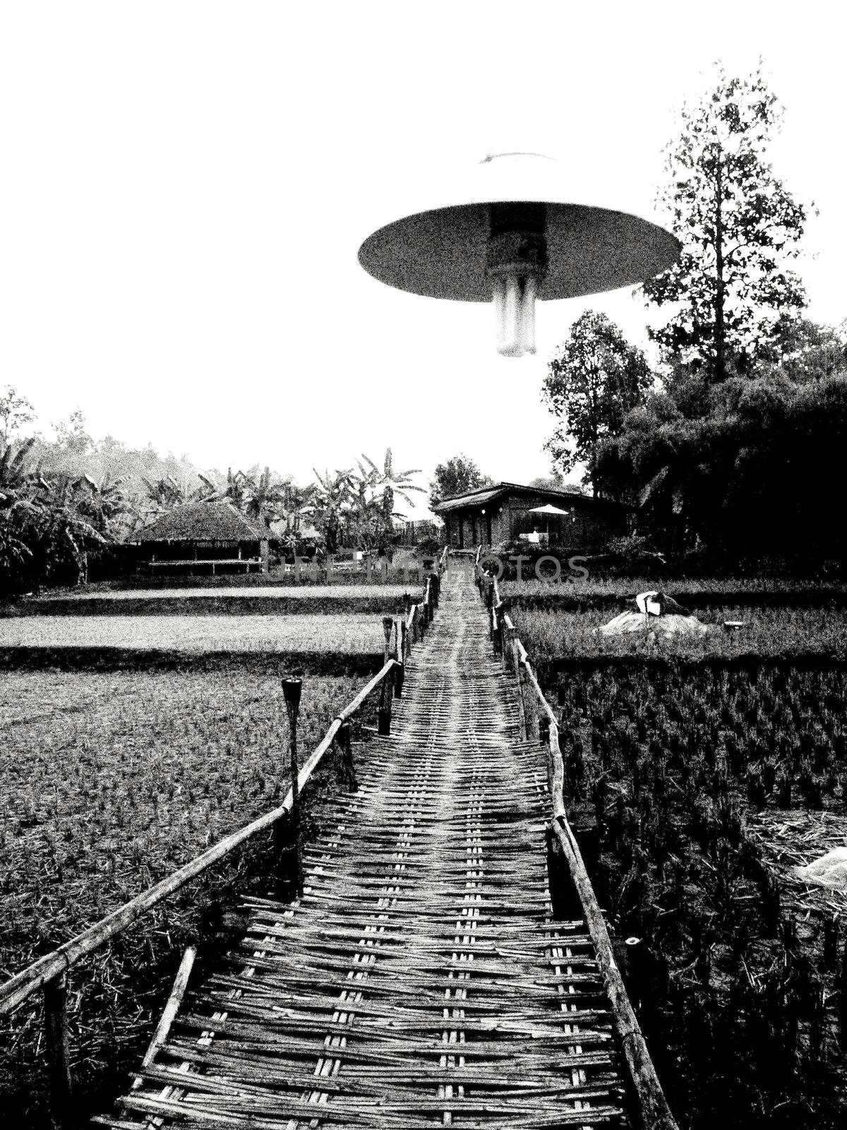 Bamboo bridge in grain type by gjeerawut