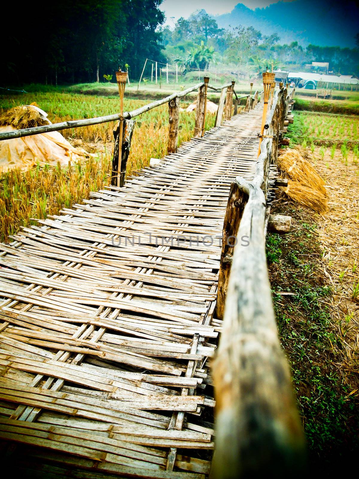 Bamboo bridge3 by gjeerawut