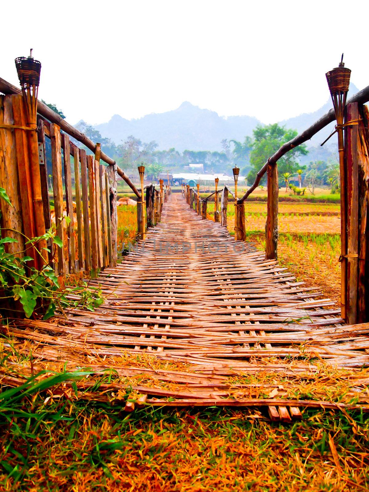 Bamboo bridge2 by gjeerawut