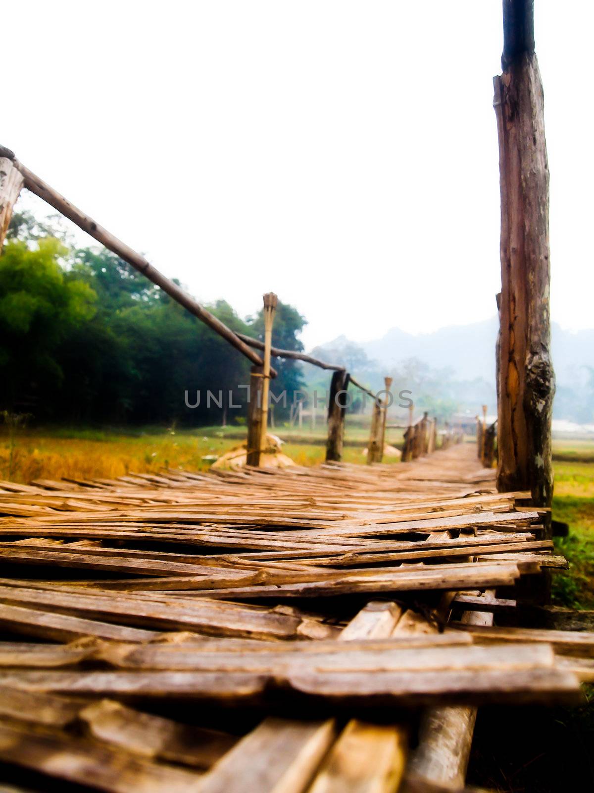 Bamboo bridge1 by gjeerawut