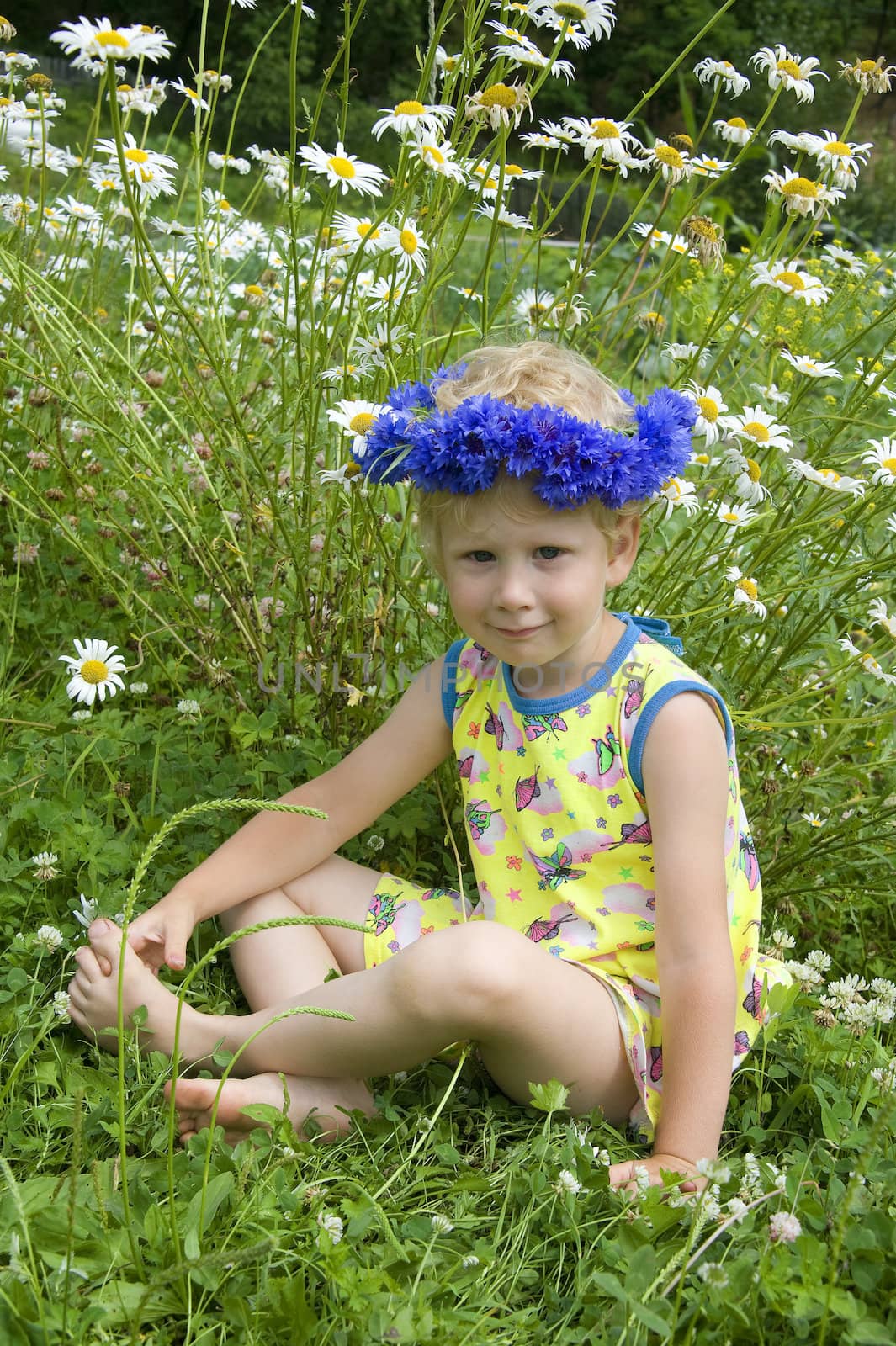 a little girl in a wreath of cornflowers sitting on a pile of grass