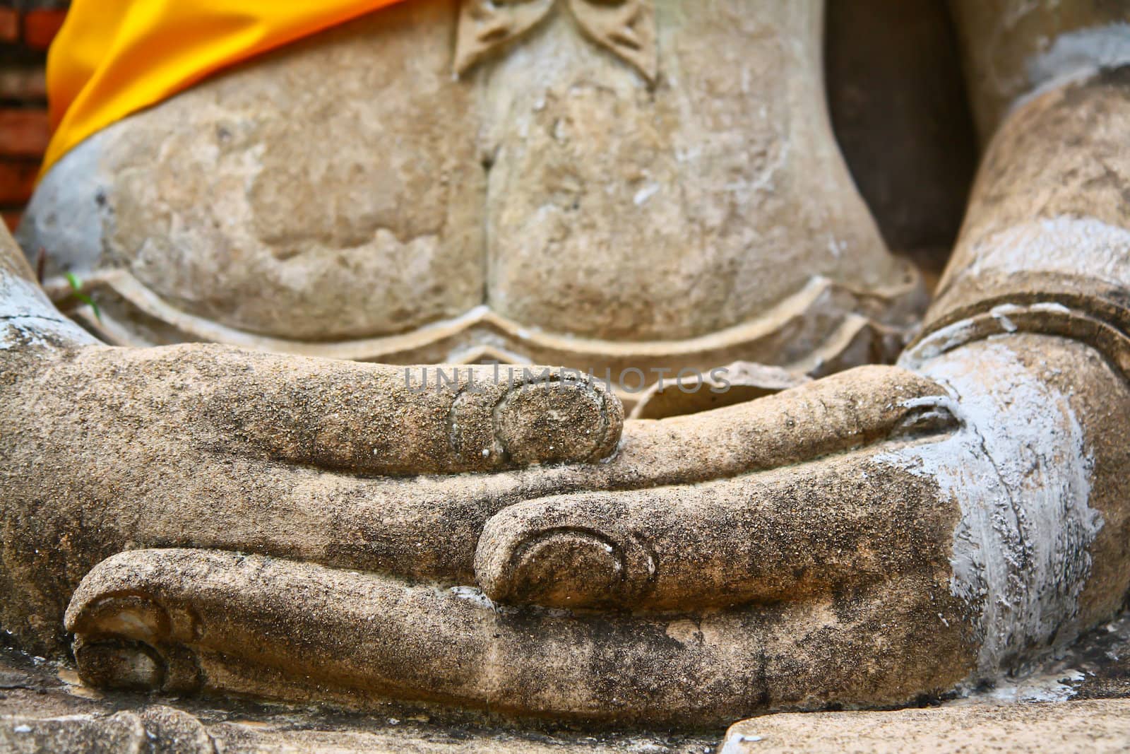 buddha hand by Photoguide