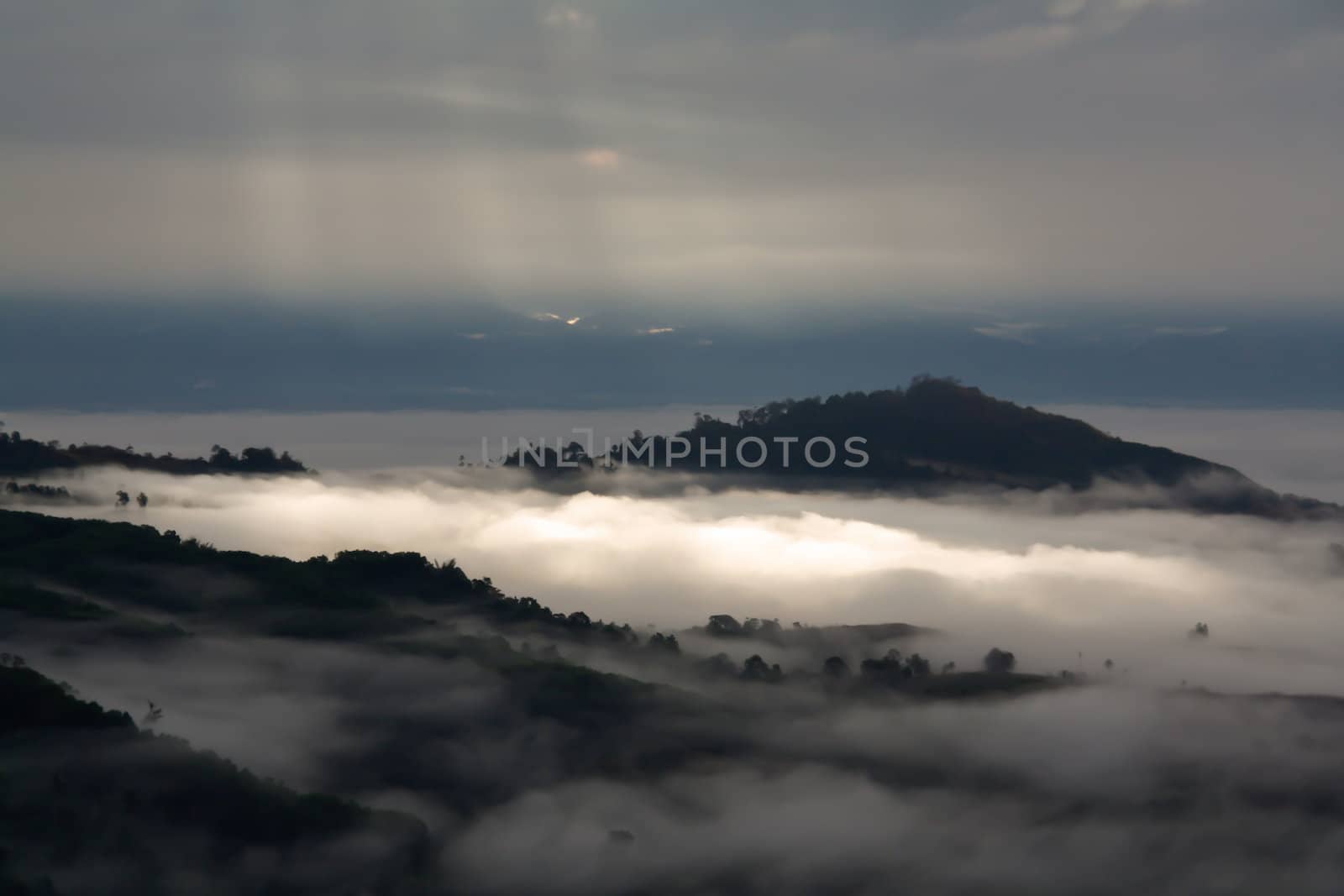 Fog mountain by Photoguide