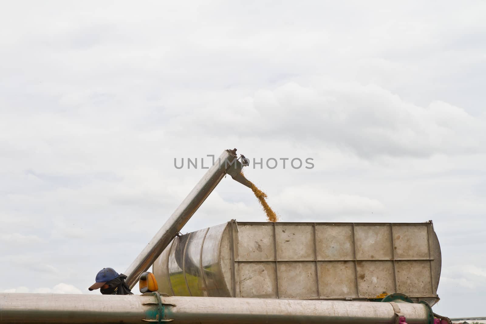 Combine harvesting rice in thai rice farm