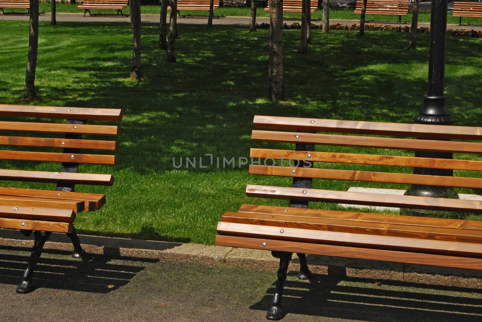 Wooden benches in city garden in sunny day close-up